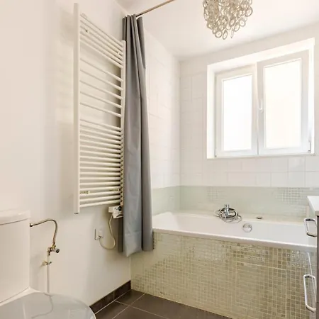 Appartement Magnifique Loft A 4km Du Centre De Strasbourg Schiltigheim