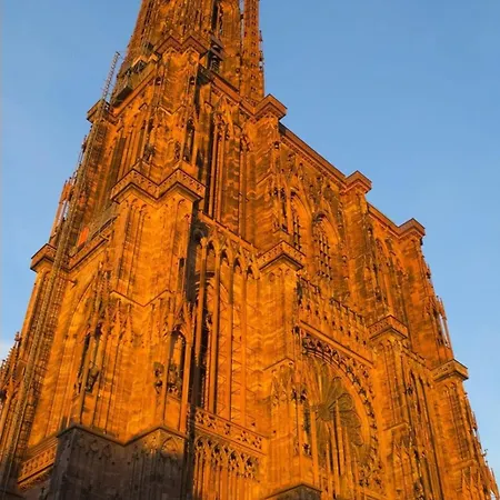 Magnifique Loft A 4km Du Centre De Strasbourg *